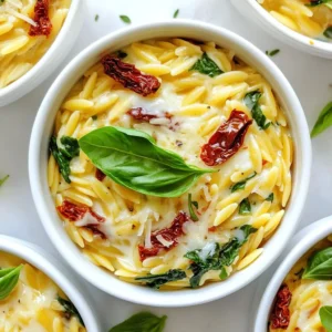 Creamy Sun-Dried Tomato Orzo Flavorful and Easy Meal